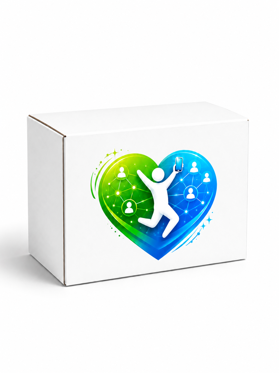 Wiiipay Box