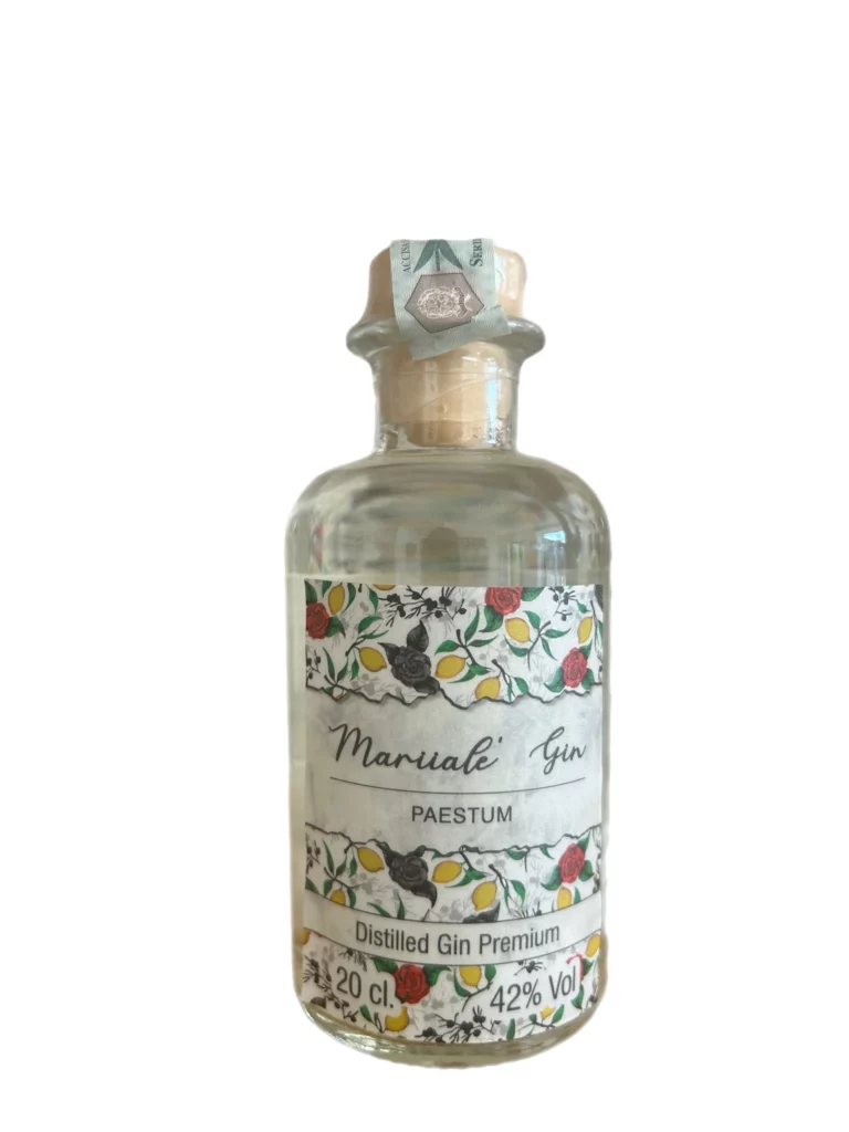 Bottiglia Gin 20cl